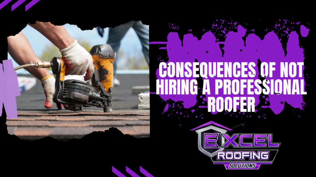 Professional Roofer